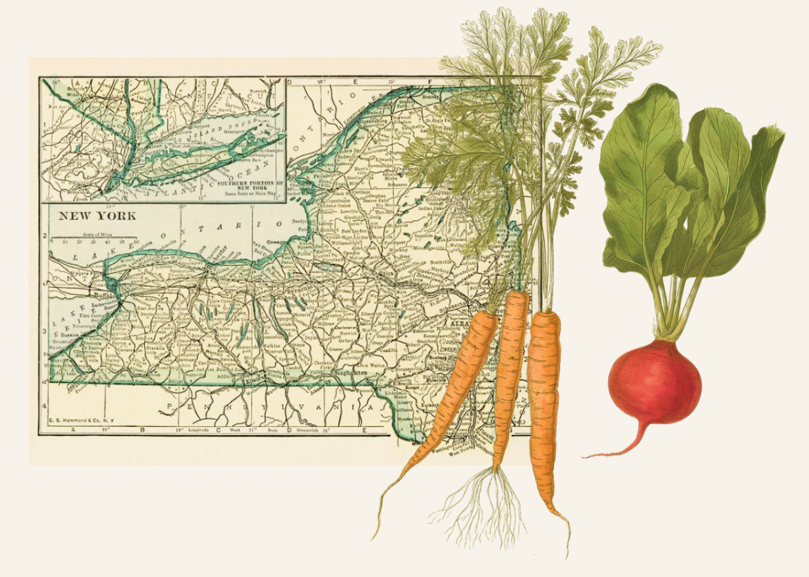 Five-Health-Truths-About-Laroot-World laroot-world